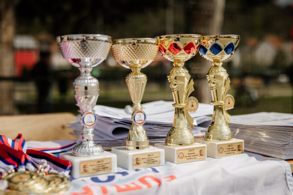 organizacija sportskog saveza ljubovija