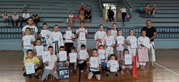 drina karate ljubovija